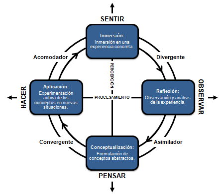 Figura 1 - La rueda del aprendizaje de Kolb